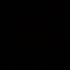 Meet your Posher, Elsa